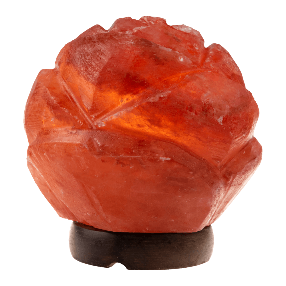 Scarlet Rose Himalayan Salt Lamp - Himalayan Trading Co. Himalayan Salt Lamp Himalayan Pink Salt
