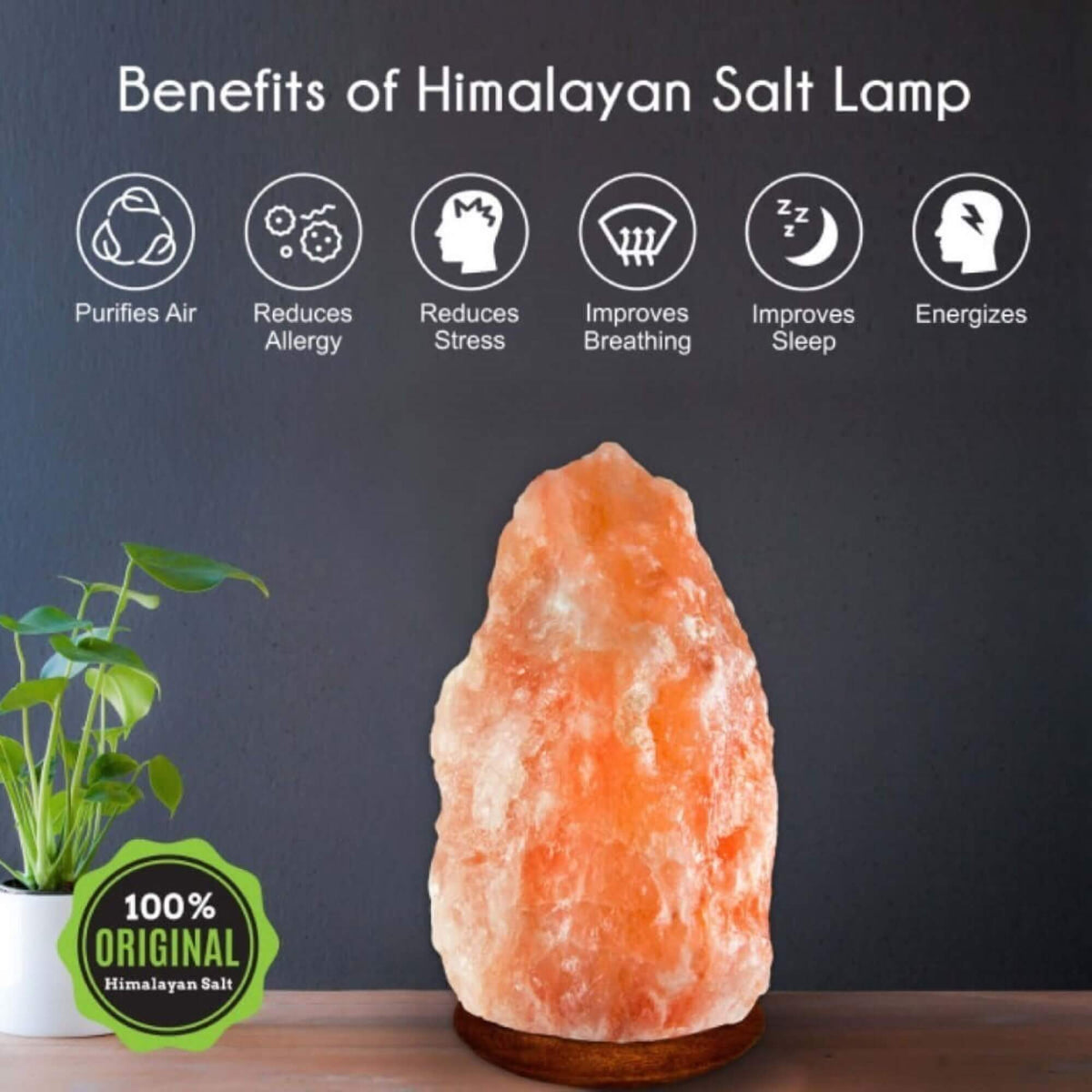 Rare White Himalayan Salt Lamp - Himalayan Trading Co. Himalayan Salt Lamp Himalayan Pink Salt