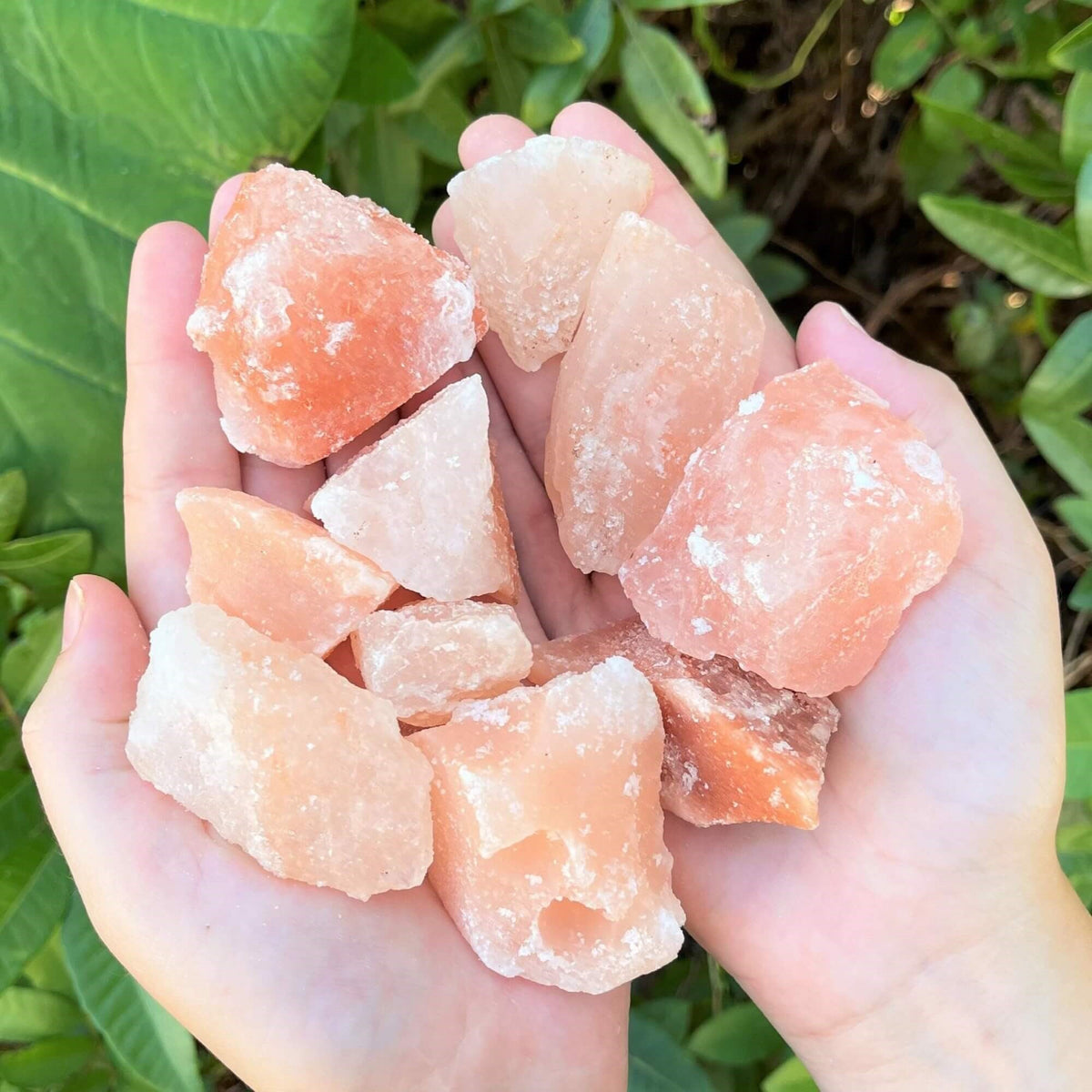 Raw Himalayan Pink Salt Chunks – 5 lb Multi-Use Gourmet - Himalayan Trading Co. Himalayan Salt Lamp Himalayan Pink Salt