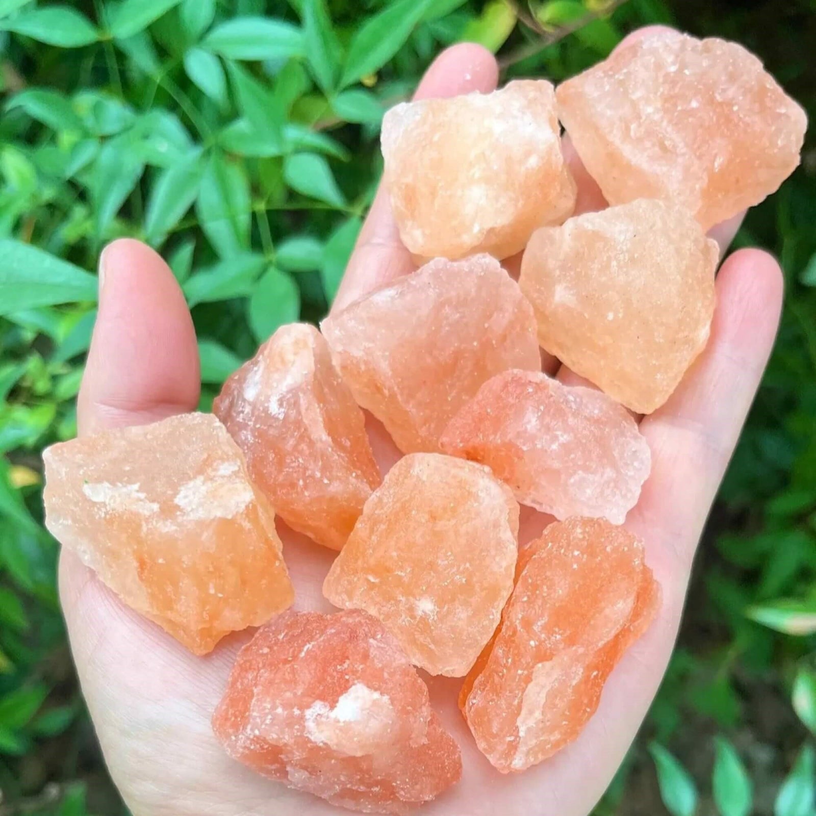 Raw Himalayan Pink Salt Chunks – 5 lb Multi-Use Gourmet - Himalayan Trading Co. Himalayan Salt Lamp Himalayan Pink Salt