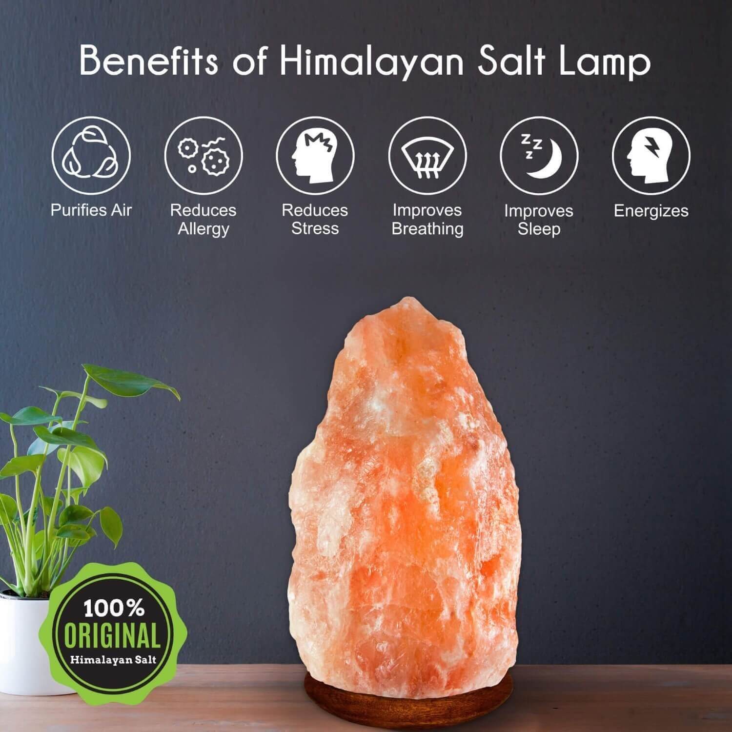 (Set of 6) Original Himalayan Salt Lamps - Large - Himalayan Trading Co. Himalayan Salt Lamp Himalayan Pink Salt