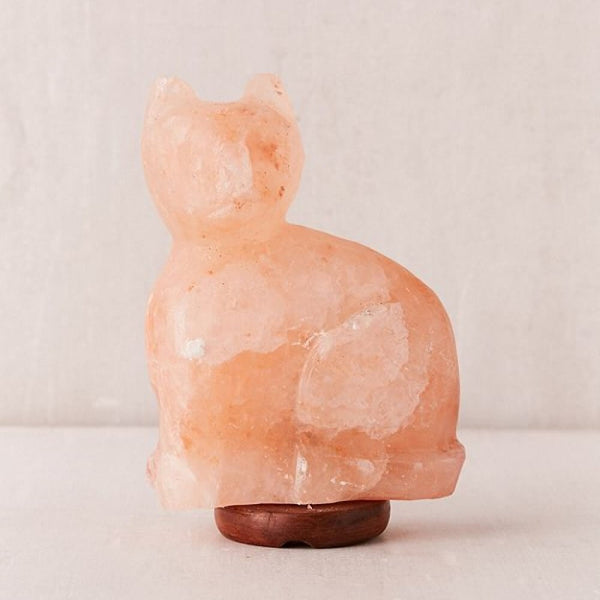 Himalayan salt lamp earthbound on sale