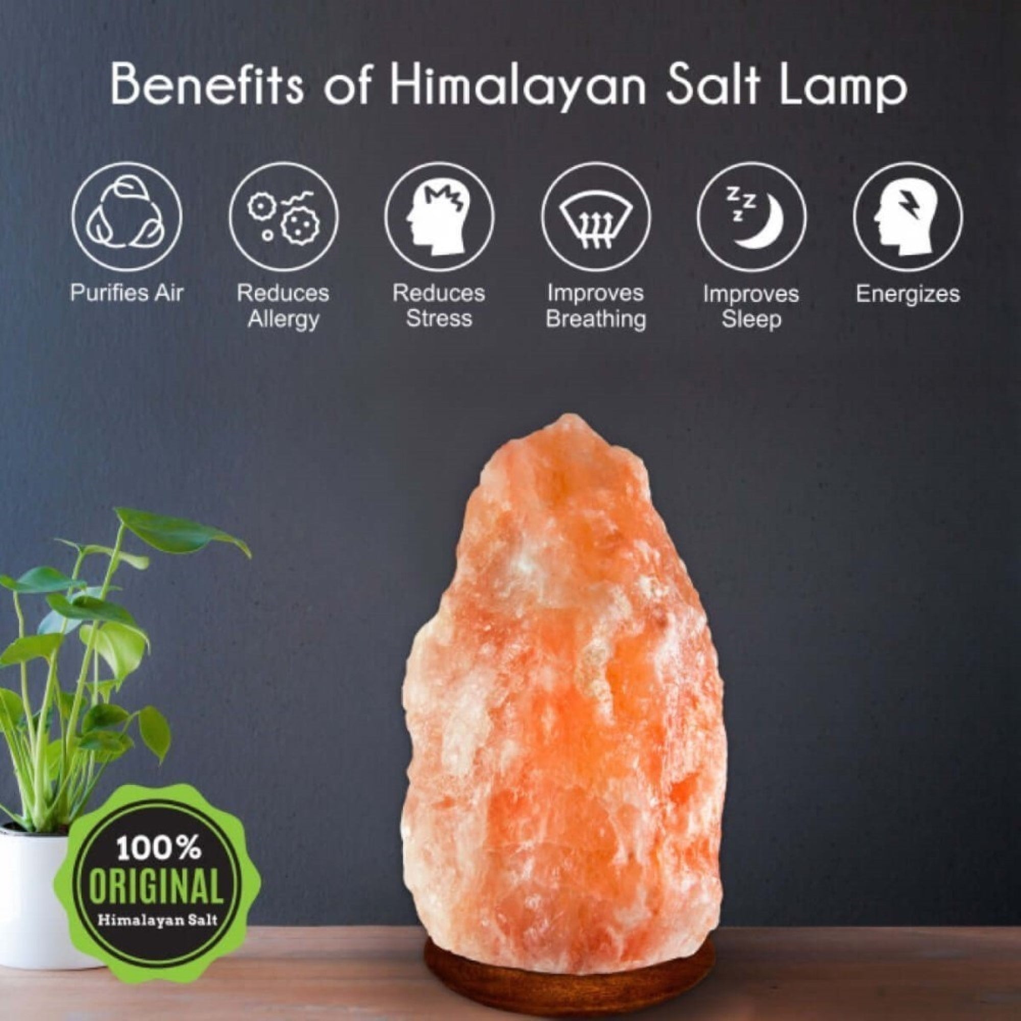 Salt Rock Lamp 6 Inch Himalayan Salt Lamp With Color Changing LED - 5lb Natural Crystal Lamp With USB Cable USB Powered Salt Crystal