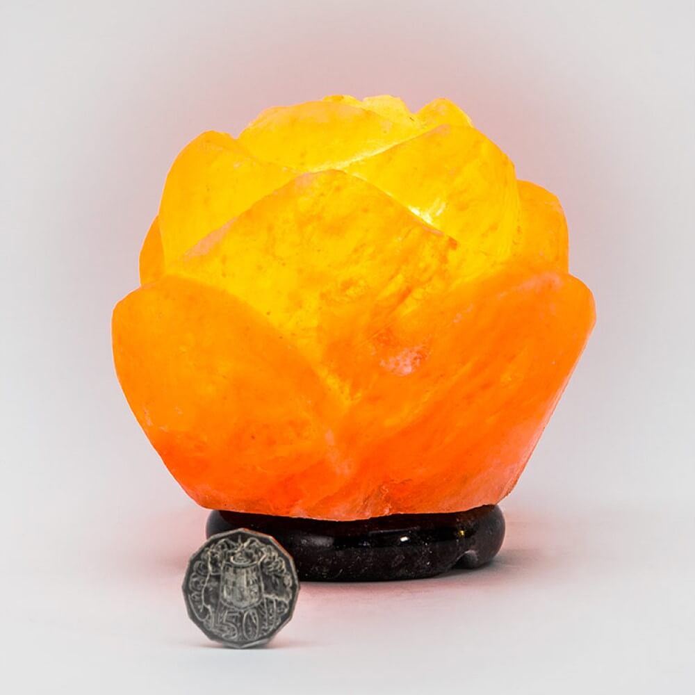 Scarlet Rose Himalayan Salt Lamp - Himalayan Trading Co. Himalayan Salt Lamp Himalayan Pink Salt