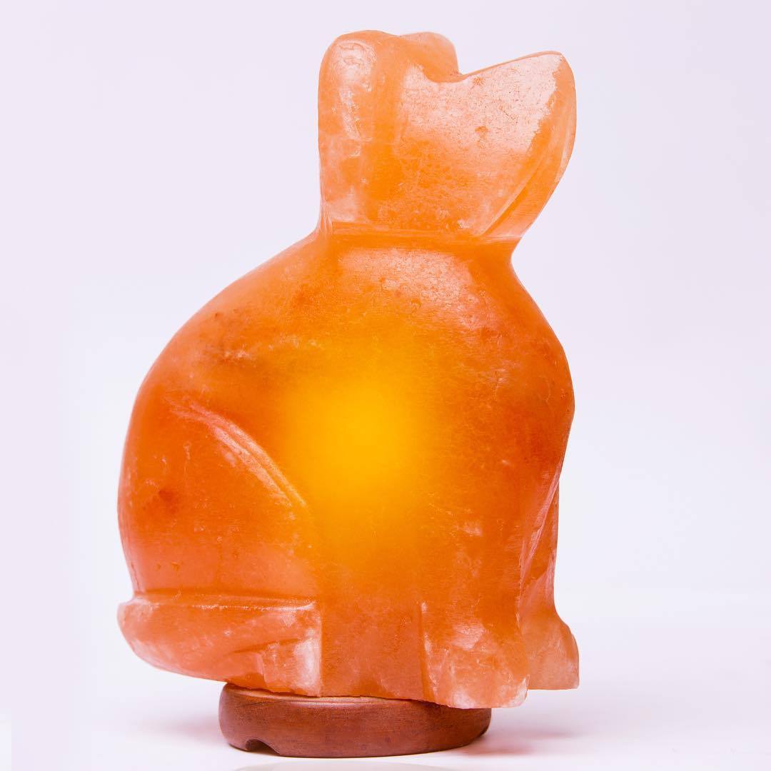 Dog Himalayan Salt Lamp - Himalayan Trading Co.®