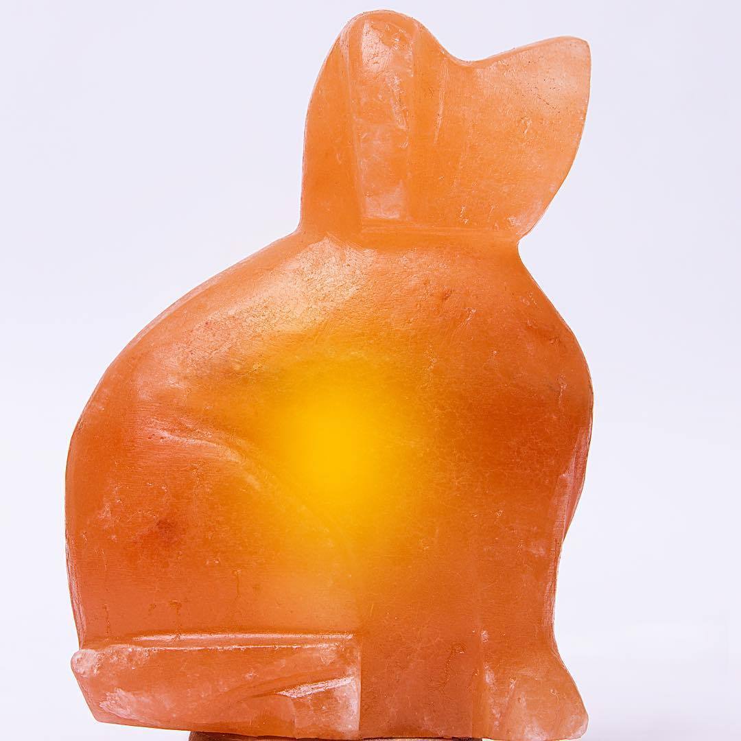 Dog Himalayan Salt Lamp - Himalayan Trading Co.®